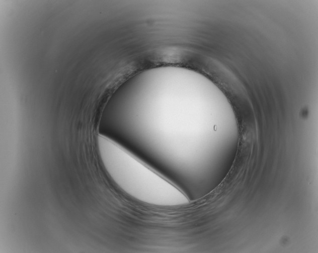 X0000095110555200712070922