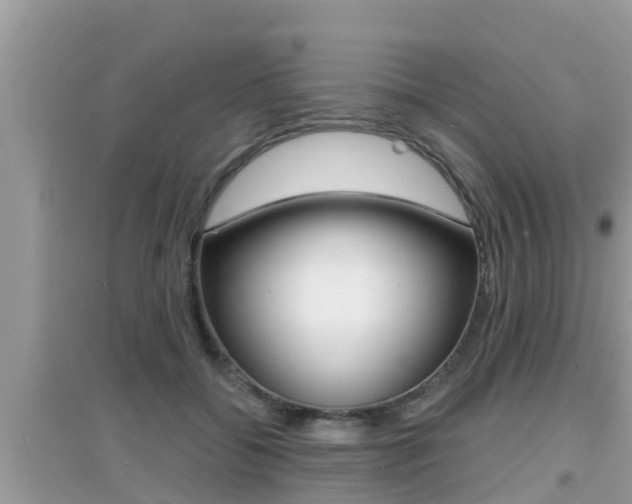 X0000095110556200712070922