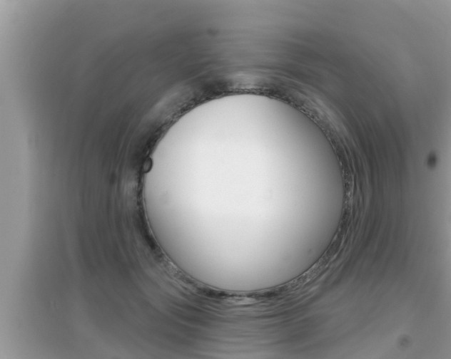 X0000095110557200712070922