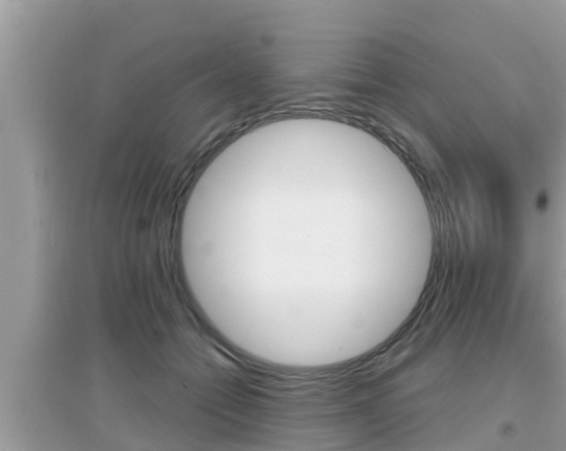 X0000095110558200712070922