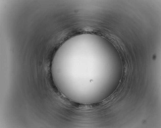 X0000095110559200712070922