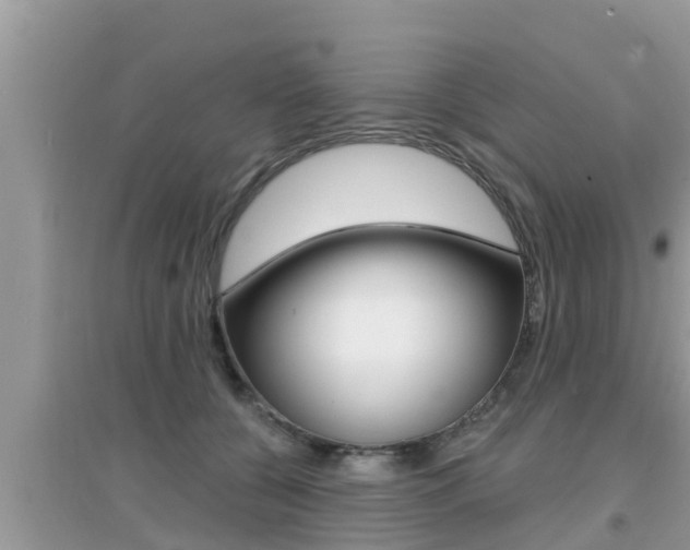 X0000095110560200712070922