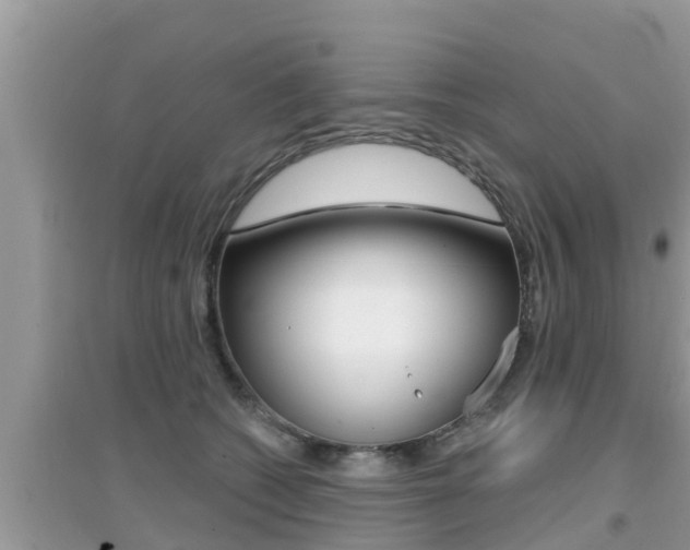 X0000095110562200712070922