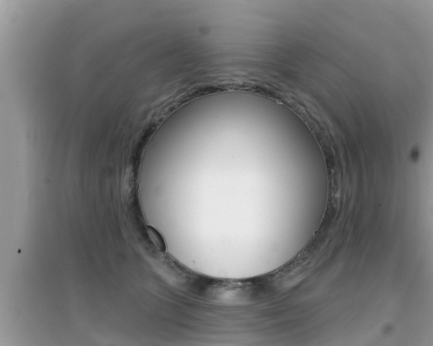 X0000095110563200712070922