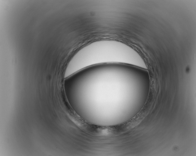 X0000095110564200712070922
