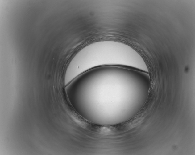 X0000095110566200712070922