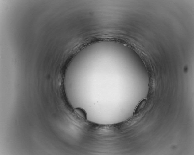 X0000095110567200712070922