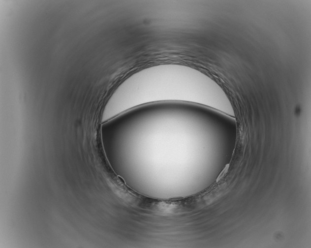 X0000095110570200712070922