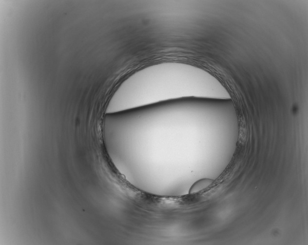 X0000095110573200712070922