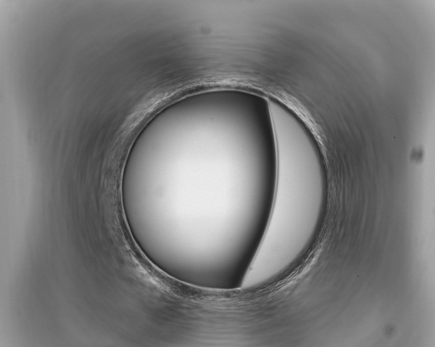 X0000095110577200712070921