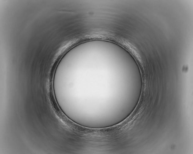 X0000095110578200712070921
