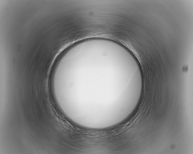 X0000095110579200712070921