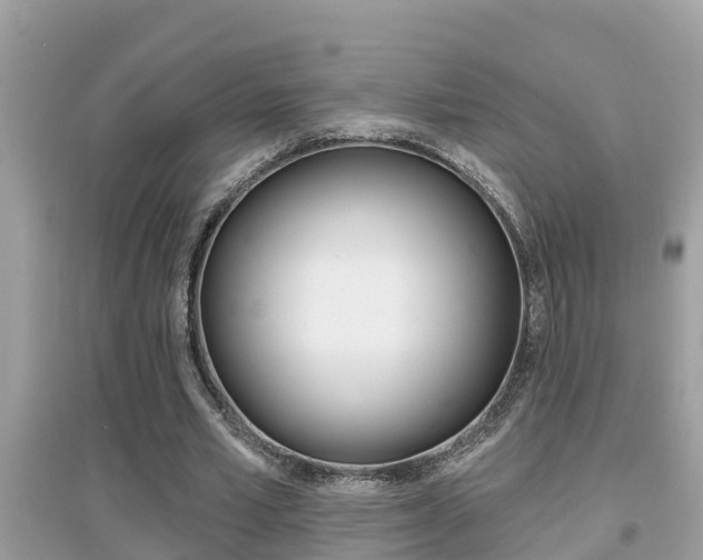 X0000095110581200712070921