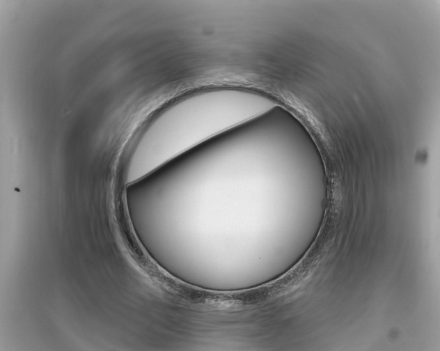 X0000095110582200712070921