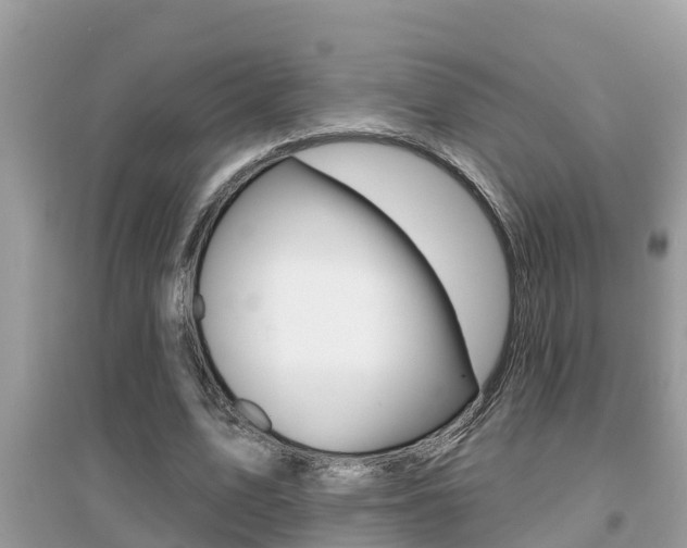 X0000095110583200712070921