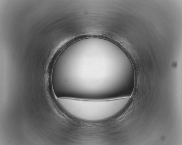 X0000095110584200712070921