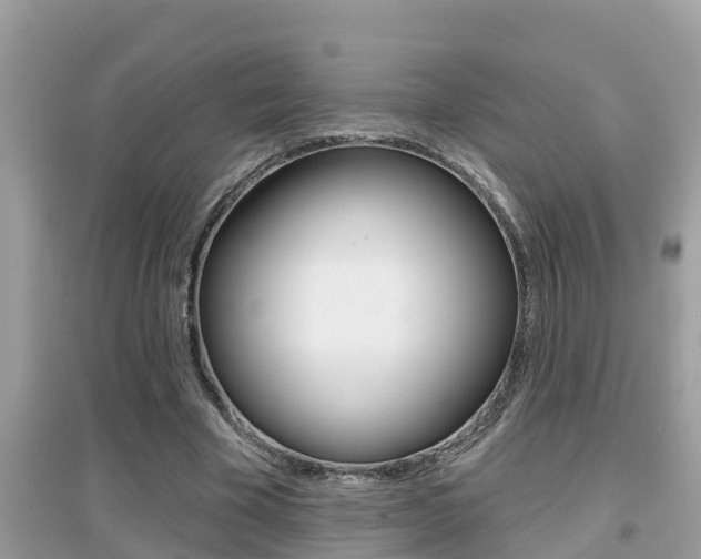 X0000095110585200712070921