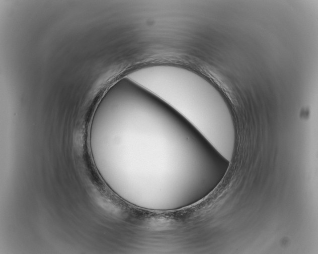 X0000095110586200712070921