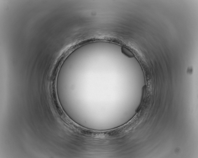X0000095110587200712070921