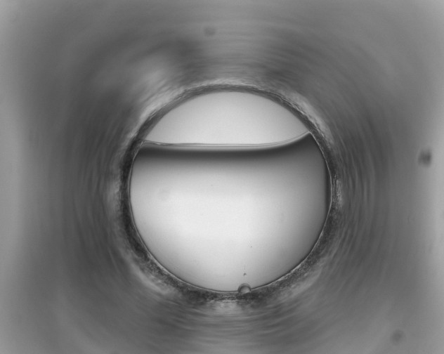 X0000095110588200712070921