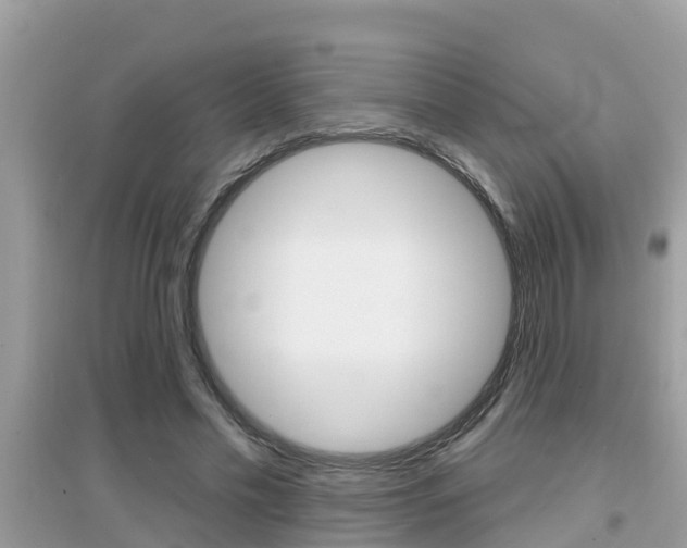 X0000095110589200712070921