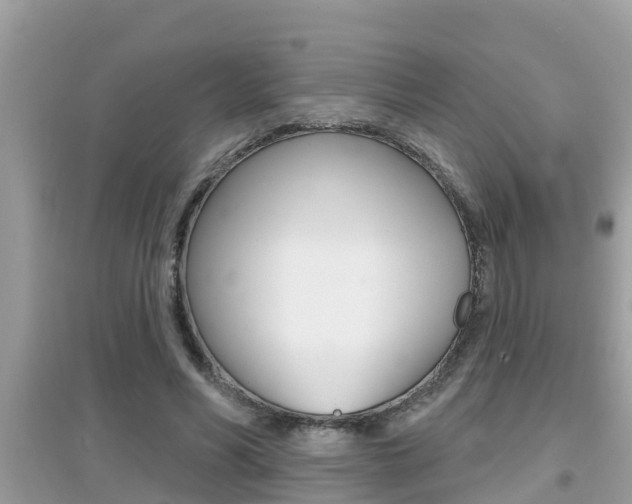 X0000095110590200712070921