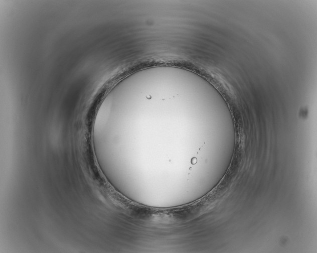 X0000095110591200712070921