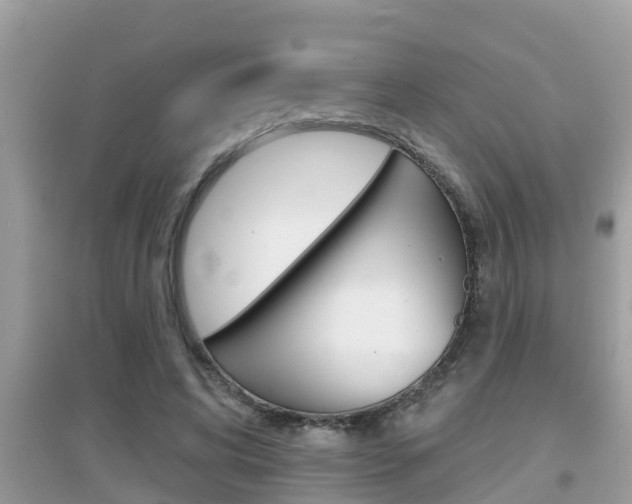 X0000095110592200712070921