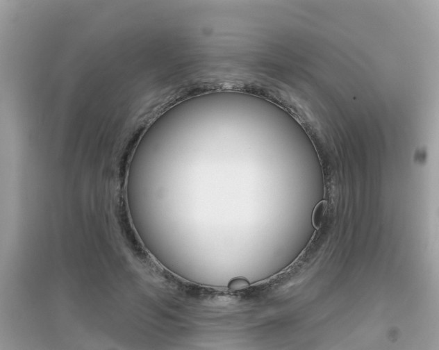 X0000095110594200712070921