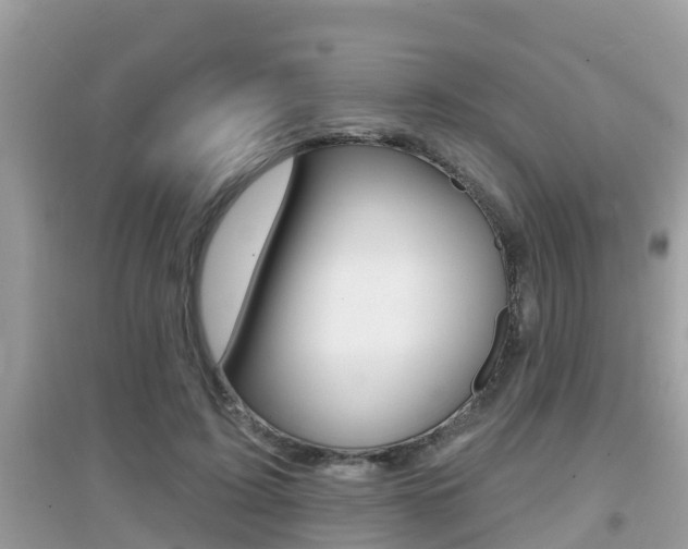 X0000095110595200712070921