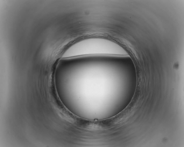 X0000095110596200712070921