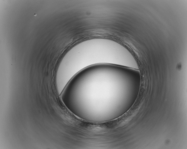 X0000095110597200712070921