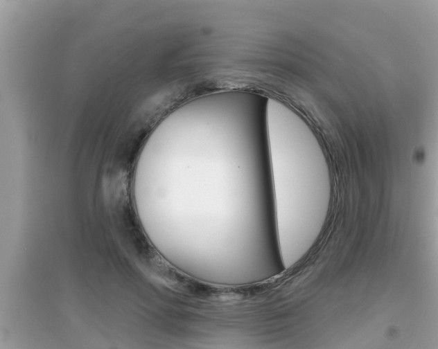 X0000095110598200712070921