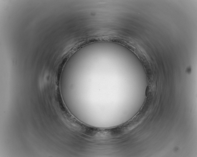 X0000095110599200712070921