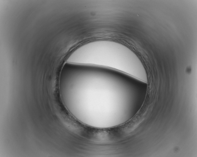 X0000095110600200712070921