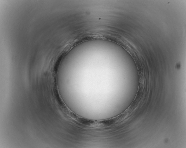 X0000095110603200712070921