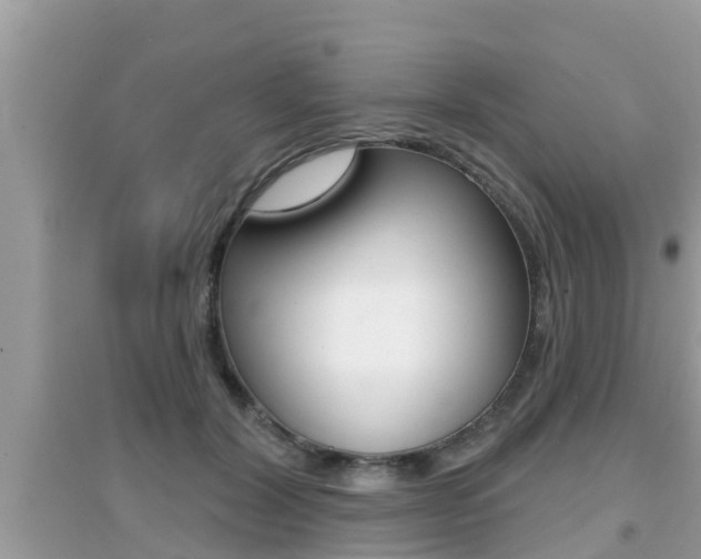 X0000095110604200712070921