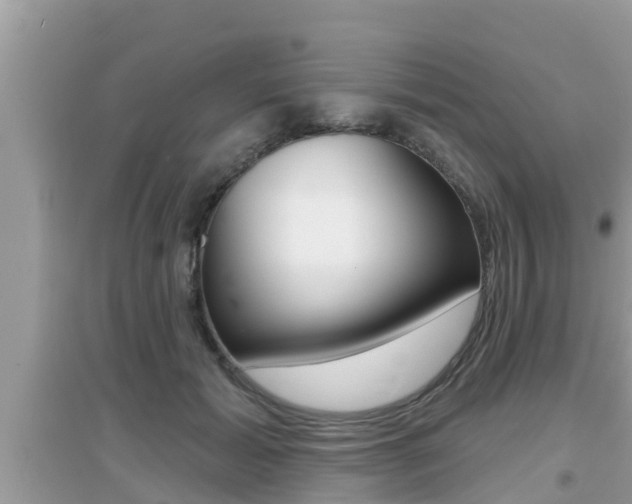 X0000095110605200712070921