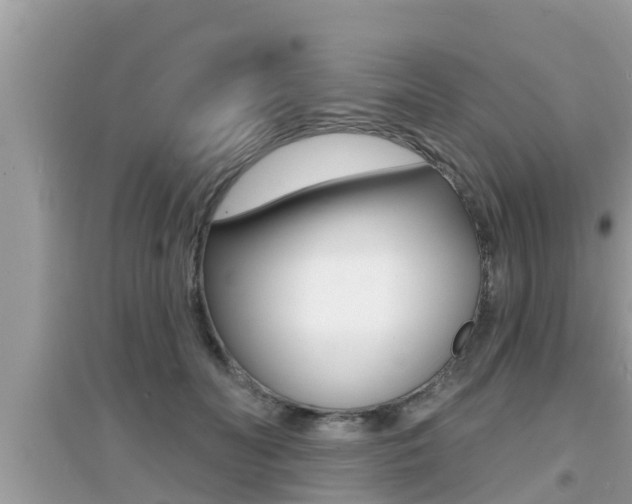 X0000095110606200712070921