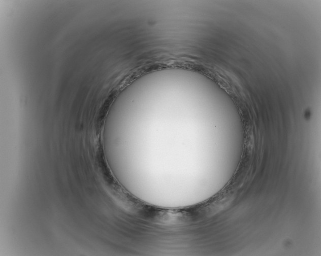 X0000095110607200712070921