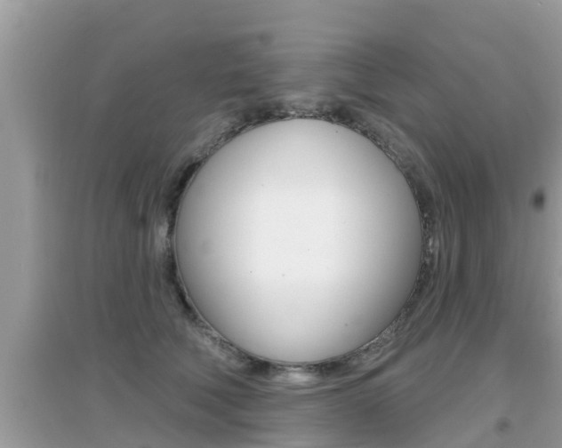 X0000095110610200712070921