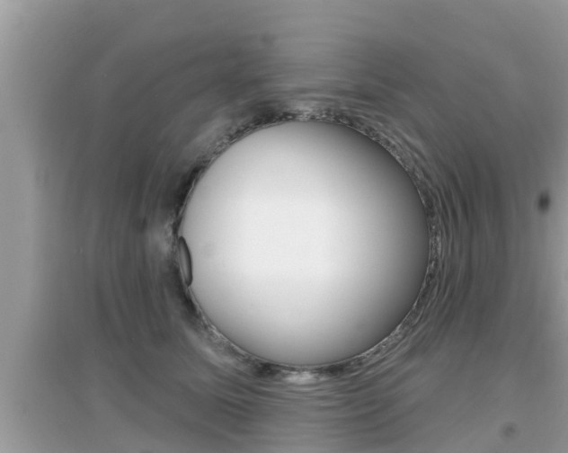 X0000095110611200712070921