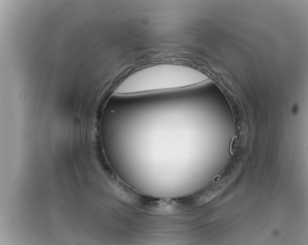 X0000095110612200712070921