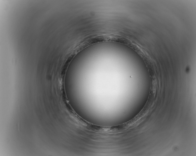 X0000095110613200712070921