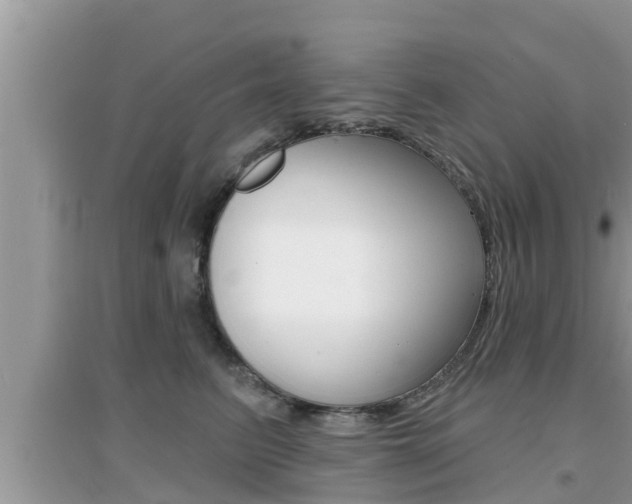 X0000095110615200712070921