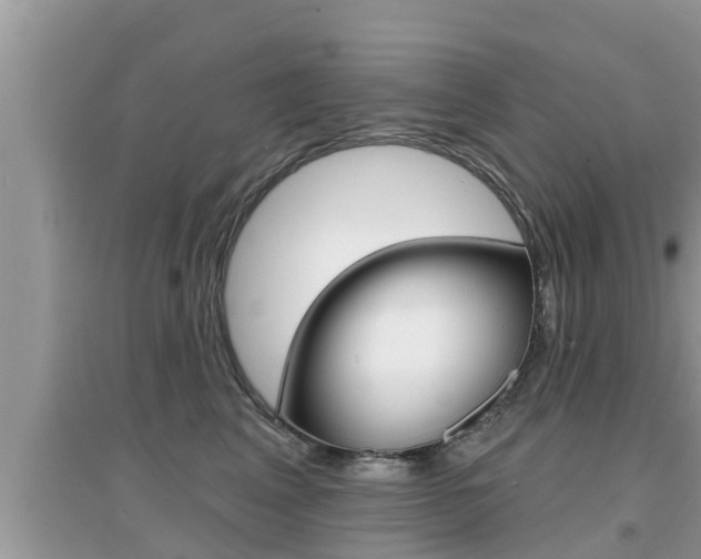 X0000095110617200712070921