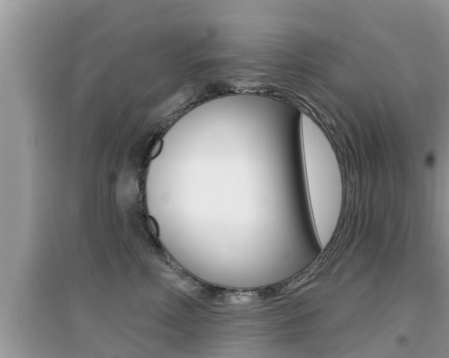 X0000095110618200712070921