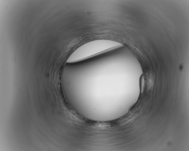 X0000095110619200712070921