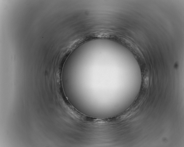 X0000095110620200712070921