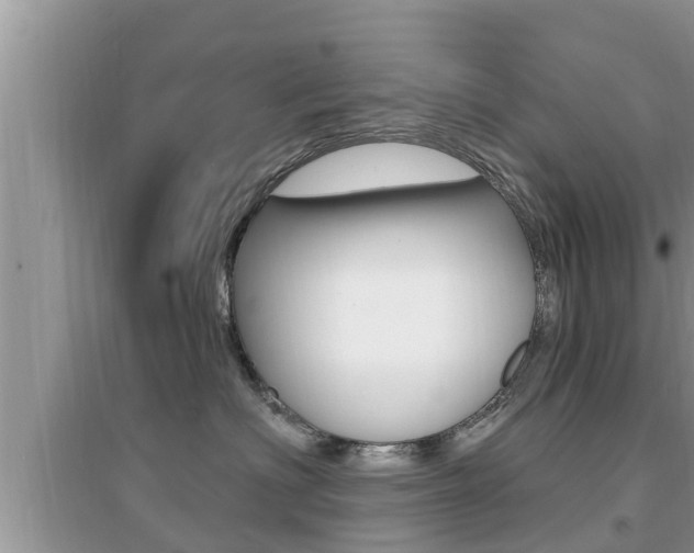 X0000095110622200712070921